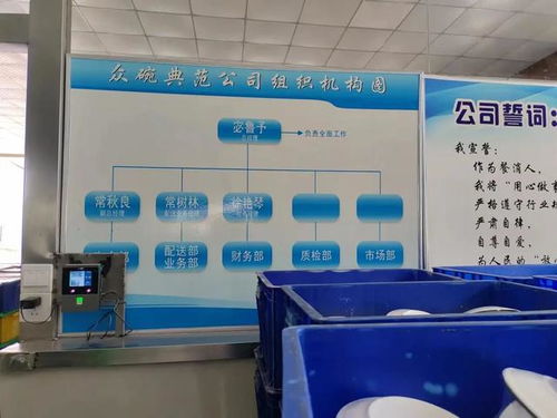 水上乐园的暗面与洗碗女工的悲歌 消费光鲜背后的社会代价